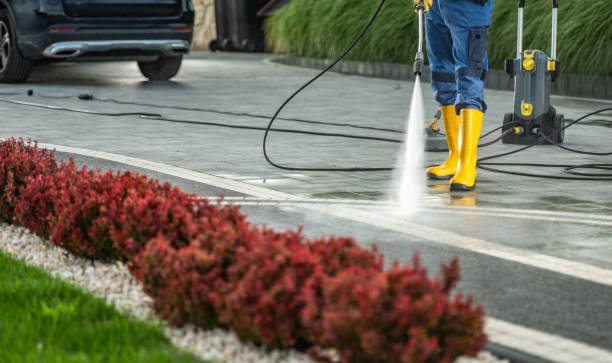 Best Patio and Deck Pressure Washing  in Old Bethpage, NY