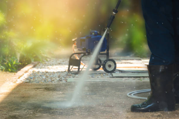 Best Roof Washing  in Old Bethpage, NY